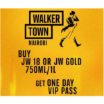 VIP Ticket Day 2