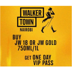 VIP Ticket Day 2