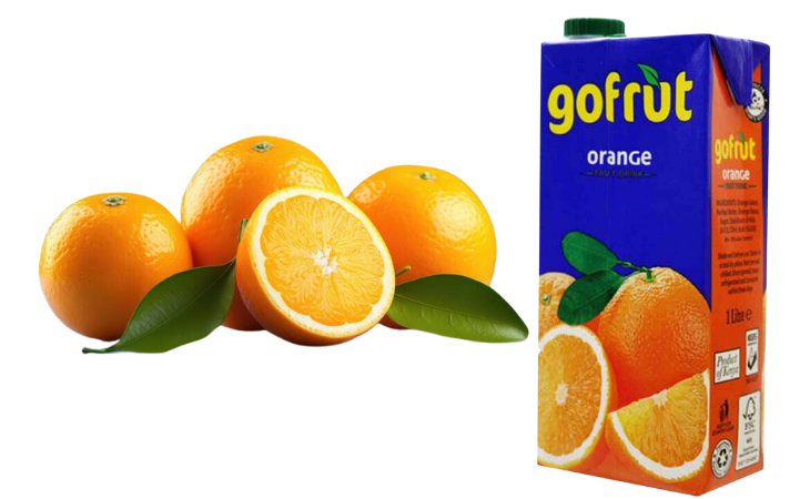 gofruit juice